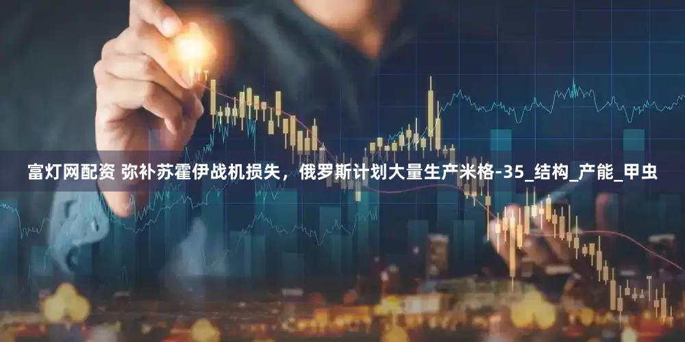 富灯网配资 弥补苏霍伊战机损失，俄罗斯计划大量生产米格-35_结构_产能_甲虫