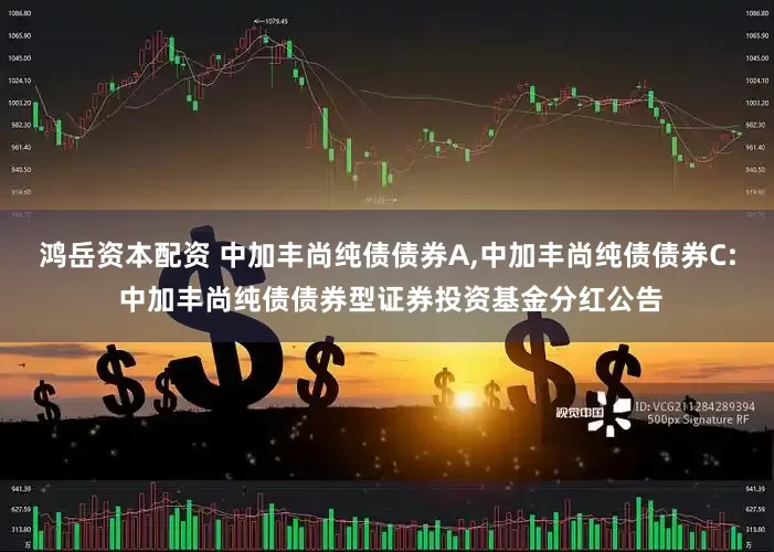 鸿岳资本配资 中加丰尚纯债债券A,中加丰尚纯债债券C: 中加丰尚纯债债券型证券投资基金分红公告